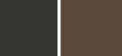 Contemporary-Rail-color-chart